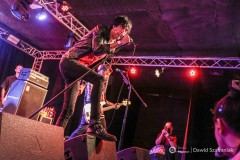 fot-Dawid-Szafraniak-011