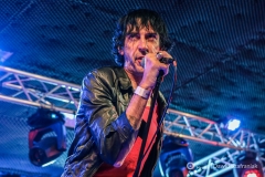 fot-Dawid-Szafraniak-014