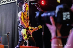 fot-Dawid-Szafraniak-017