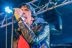 fot-Dawid-Szafraniak-025