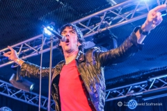 fot-Dawid-Szafraniak-026