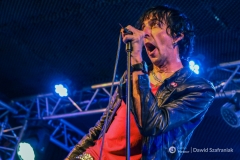 fot-Dawid-Szafraniak-029