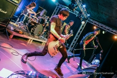 fot-Dawid-Szafraniak-033