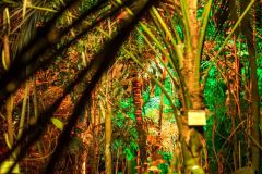 fot-Patrycja-Chodorowska-003