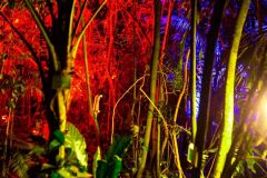 fot-Patrycja-Chodorowska-005