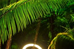 fot-Patrycja-Chodorowska-013