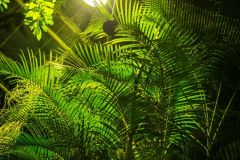 fot-Patrycja-Chodorowska-014