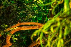 fot-Patrycja-Chodorowska-016