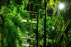 fot-Patrycja-Chodorowska-017