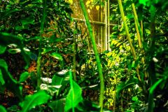 fot-Patrycja-Chodorowska-021