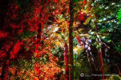 fot-Patrycja-Chodorowska-025