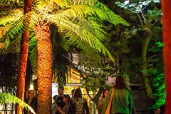 fot-Patrycja-Chodorowska-028