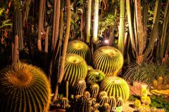 fot-Patrycja-Chodorowska-032