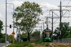 fot-Konrad-Czapracki-008