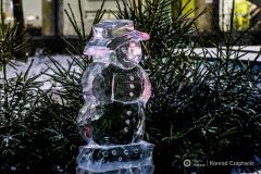 fot-Konrad-Czapracki-005