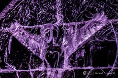 fot-Konrad-Czapracki-035