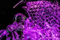 fot-Konrad-Czapracki-044