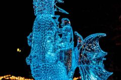 fot-Konrad-Czapracki-045