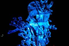 fot-Konrad-Czapracki-050