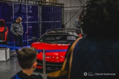 fot-Dawid-Szafraniak-004