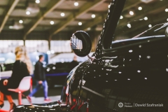 fot-Dawid-Szafraniak-010