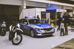 fot-Dawid-Szafraniak-017