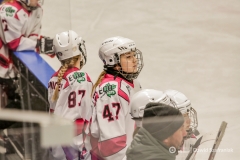 fot-Dawid-Szafraniak-010