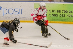 fot-Dawid-Szafraniak-013