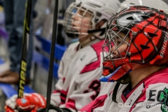 fot-Dawid-Szafraniak-017