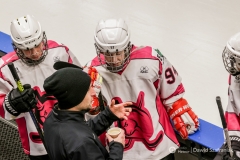 fot-Dawid-Szafraniak-025