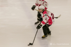 fot-Dawid-Szafraniak-031