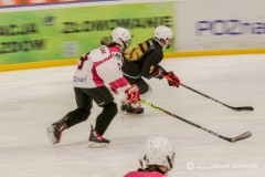 fot-Dawid-Szafraniak-035