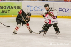 fot-Dawid-Szafraniak-036