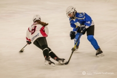 fot-Dawid-Szafraniak-015