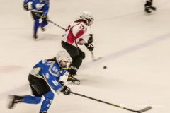 fot-Dawid-Szafraniak-017