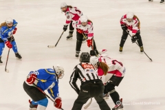 fot-Dawid-Szafraniak-024