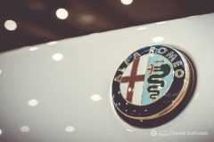 fot-Dawid-Szafraniak-007