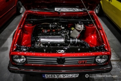 fot-Dawid-Szafraniak-009