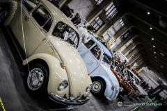 fot-Dawid-Szafraniak-010