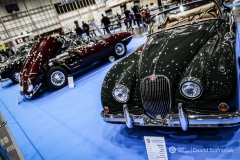 fot-Dawid-Szafraniak-013