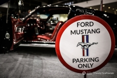 fot-Dawid-Szafraniak-023