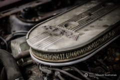 fot-Dawid-Szafraniak-025