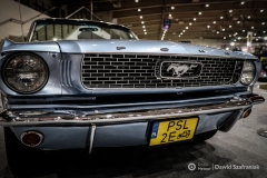 fot-Dawid-Szafraniak-027