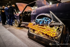 fot-Dawid-Szafraniak-028