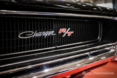 fot-Dawid-Szafraniak-029