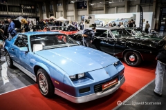 fot-Dawid-Szafraniak-030