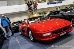 fot-Dawid-Szafraniak-035