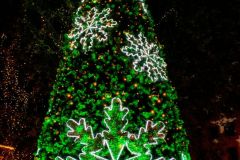 fot-Konrad-Czapracki-007