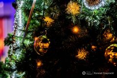 fot-Konrad-Czapracki-019