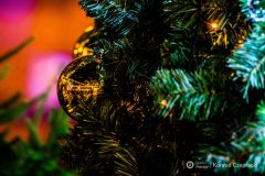 fot-Konrad-Czapracki-020